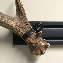 Load image into Gallery viewer, Shed Antler Mounting Kit