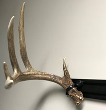 Load image into Gallery viewer, Shed Antler Mounting Kit