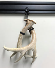 Load image into Gallery viewer, Shed Antler Mounting Kit