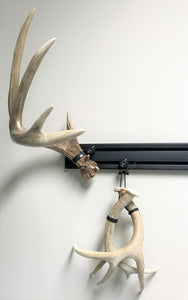 Shed Antler Mounting Kit