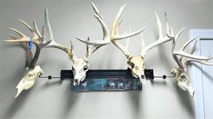 32” - Kit #4 - 4 Pivoting Skull Mounts