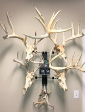 Load image into Gallery viewer, 18” - Kit #4 - 4 Pivoting Skull Mounts