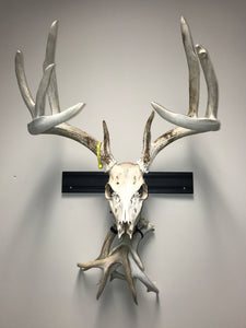 18” - Kit #1 - Fixed Skull Mount