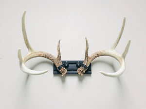 8” - Kit #4 - Shed Antler Mounts