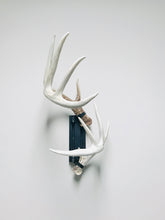 Load image into Gallery viewer, 8” - Kit #4 - Shed Antler Mounts