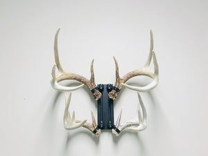 8” - Kit #4 - Shed Antler Mounts