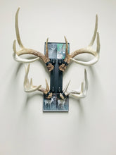 Load image into Gallery viewer, 8” - Kit #4 - Shed Antler Mounts