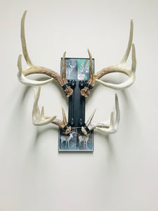 8” - Kit #4 - Shed Antler Mounts