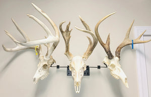 8” - Kit #3 - 3 Pivoting Skull Mounts