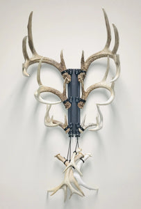 18” - Kit #6 - Shed Antler Mounts