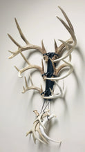 Load image into Gallery viewer, 18” - Kit #6 - Shed Antler Mounts