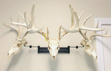 Load image into Gallery viewer, 18” - Kit #3 - 3 Pivoting Skull Mounts