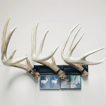 Load image into Gallery viewer, 18” - Kit #5 - Shed Antler Mounts