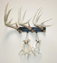 Load image into Gallery viewer, 18” - Kit #6 - Shed Antler Mounts