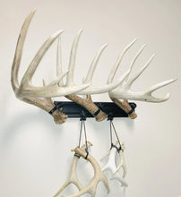 Load image into Gallery viewer, 18” - Kit #6 - Shed Antler Mounts
