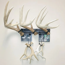 Load image into Gallery viewer, 18” - Kit #6 - Shed Antler Mounts