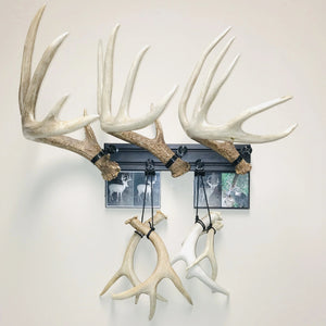 18” - Kit #6 - Shed Antler Mounts