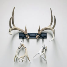 Load image into Gallery viewer, 18” - Kit #5 - Shed Antler Mounts