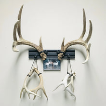 Load image into Gallery viewer, 18” - Kit #5 - Shed Antler Mounts