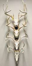 Load image into Gallery viewer, 32” - Kit #3 - 4 Fixed Skull Mounts