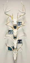 Load image into Gallery viewer, 32” - Kit #3 - 4 Fixed Skull Mounts