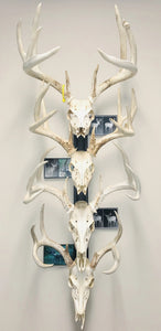 32” - Kit #3 - 4 Fixed Skull Mounts