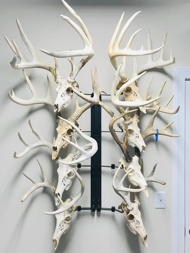 32” - Kit #9 - 8 Pivoting Skull Mounts