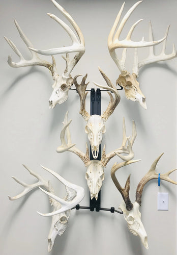 32” - Kit #6 - 6 Skull Mounts