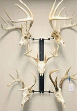 Load image into Gallery viewer, 32” - Kit #5 - 5 Skull Mounts