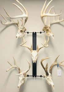 32” - Kit #5 - 5 Skull Mounts