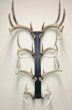 Load image into Gallery viewer, 32” - Kit #11 - Shed Antler Mounts
