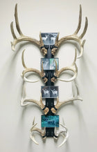 Load image into Gallery viewer, 32” - Kit #11 - Shed Antler Mounts