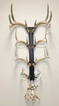 Load image into Gallery viewer, 32” - Kit #12 - Shed Antler Mounts