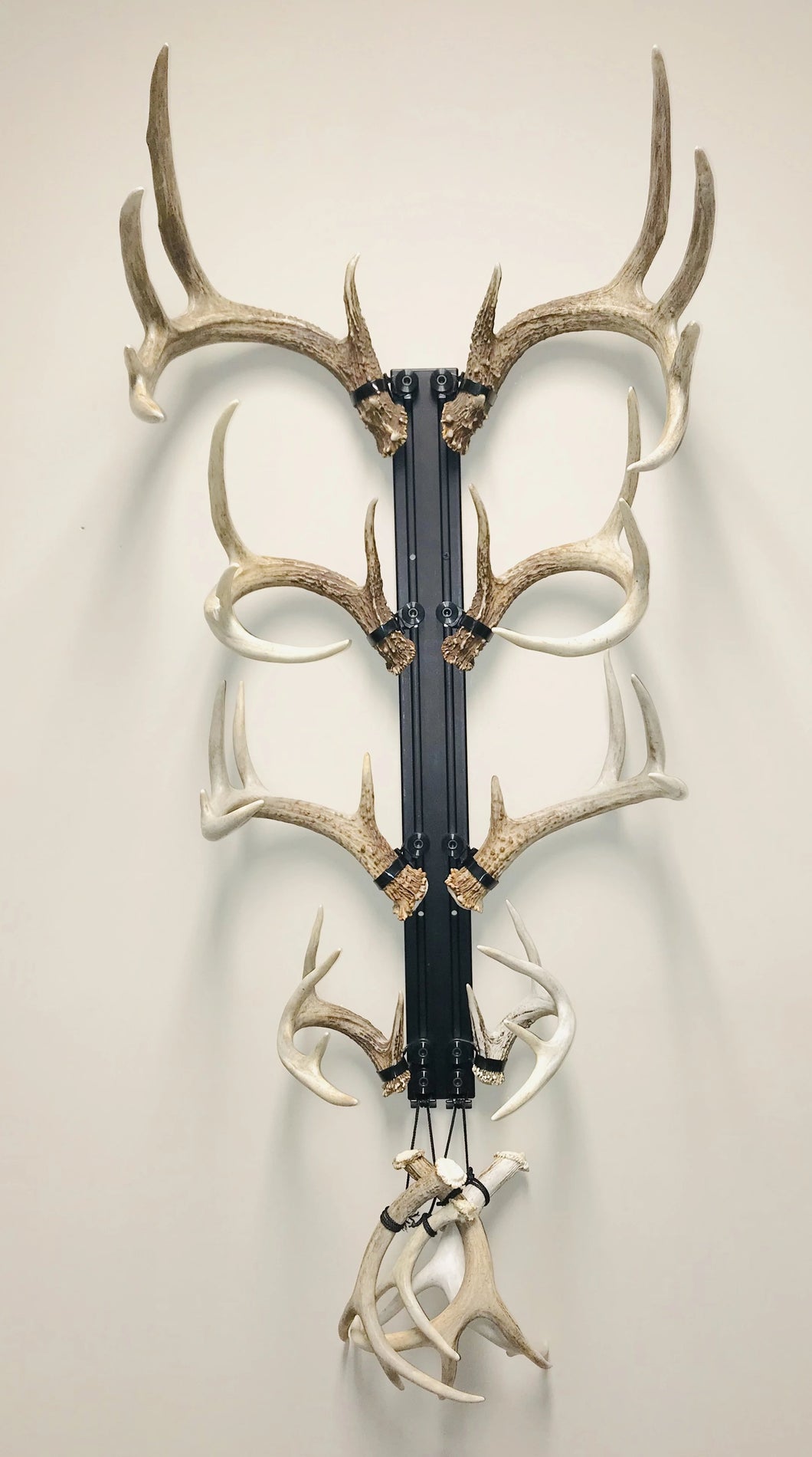 32” - Kit #12 - Shed Antler Mounts