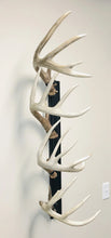 Load image into Gallery viewer, 32” - Kit #10 - Shed Antler Mounts