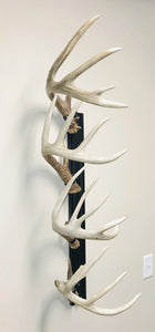 32” - Kit #10 - Shed Antler Mounts