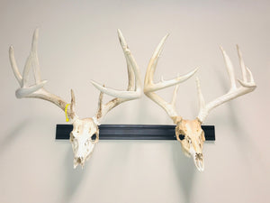 32” - Kit #1 - 2 Fixed Skull Mounts