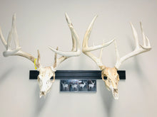 Load image into Gallery viewer, 32” - Kit #1 - 2 Fixed Skull Mounts