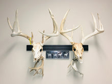 Load image into Gallery viewer, 32” - Kit #1 - 2 Fixed Skull Mounts