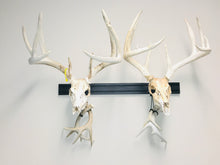Load image into Gallery viewer, 32” - Kit #1 - 2 Fixed Skull Mounts