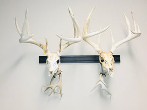 32” - Kit #1 - 2 Fixed Skull Mounts