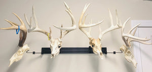 32” - Kit #4 - 4 Pivoting Skull Mounts