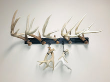 Load image into Gallery viewer, 32” - Kit #11 - Shed Antler Mounts