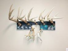 Load image into Gallery viewer, 32” - Kit #11 - Shed Antler Mounts